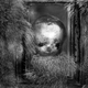 Image for article titled A new Blu-ray anthology showcases the Quay brothers’ baffling brilliance